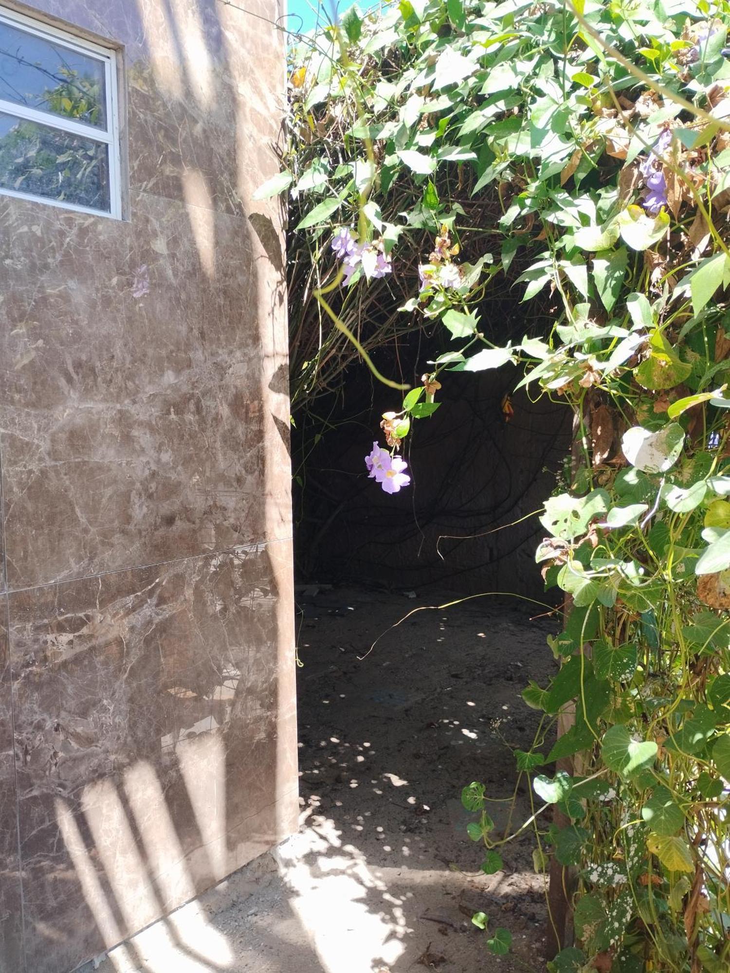 Seomarujo Rent A Room Morro Branco ベベリベ エクステリア 写真